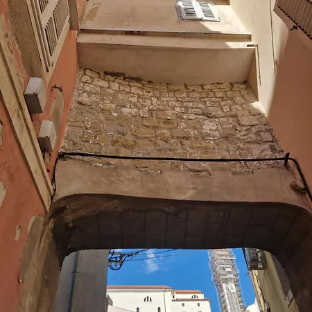 Vidali *