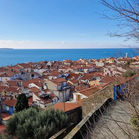 Apartmán Vidali
